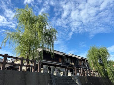 小江戸さわら 舟めぐりに投稿された画像（2025/9/25）