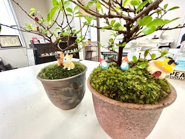 鉢マニアに投稿された画像（2025/9/25）