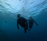 青の洞窟専門店　沖縄ダイビングショップ和に投稿された画像（2025/9/25）