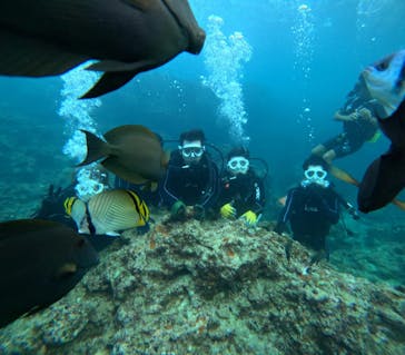 青の洞窟専門店　沖縄ダイビングショップ和に投稿された画像（2025/9/25）