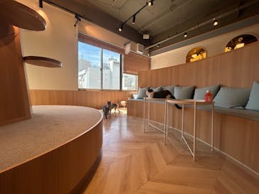 猫カフェモカ　吉祥寺店に投稿された画像（2025/9/25）