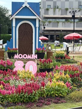 ムーミンバレーパークに投稿された画像（2025/9/25）