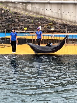 越前松島水族館に投稿された画像（2025/9/25）