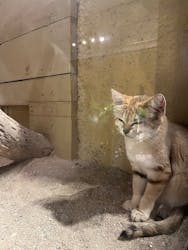 ネオパークオキナワに投稿された画像（2025/9/25）