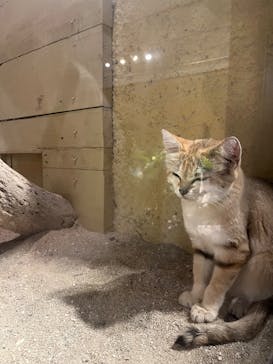 ネオパークオキナワに投稿された画像（2025/9/25）