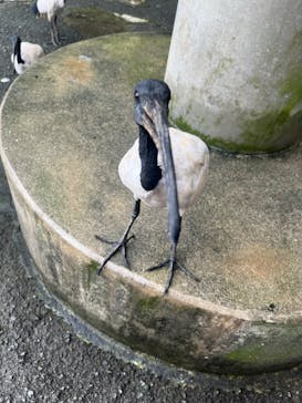 ネオパークオキナワに投稿された画像（2025/9/25）