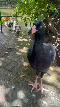 ネオパークオキナワに投稿された画像（2025/9/25）