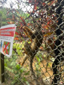 ネオパークオキナワに投稿された画像（2025/9/25）