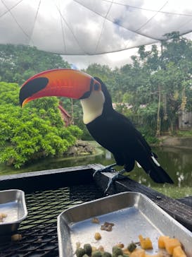 ネオパークオキナワに投稿された画像（2025/9/25）