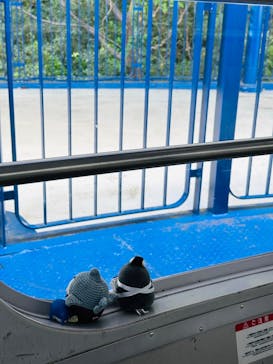 横浜・八景島シーパラダイス　プレジャーランドに投稿された画像（2025/9/25）