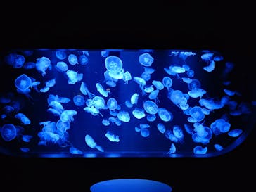 AOAO SAPPOROに投稿された画像（2025/9/25）