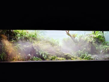 AOAO SAPPOROに投稿された画像（2025/9/25）