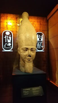 ACN ラムセス大王展 ファラオたちの黄金に投稿された画像（2025/9/25）
