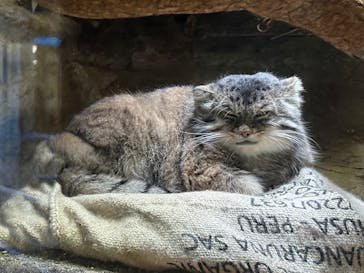 恩賜上野動物園に投稿された画像（2025/9/25）