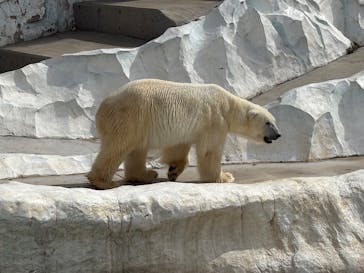 恩賜上野動物園に投稿された画像（2025/9/25）