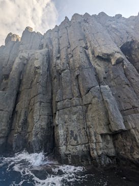 東尋坊観光遊覧船株式会社に投稿された画像（2025/9/25）