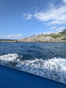 東尋坊観光遊覧船株式会社に投稿された画像（2025/9/25）