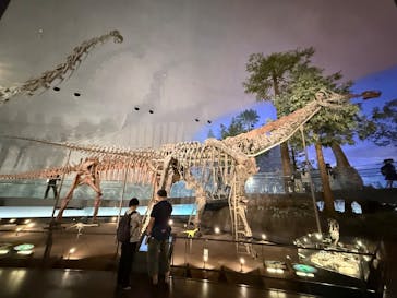 福井県立恐竜博物館に投稿された画像（2025/9/26）