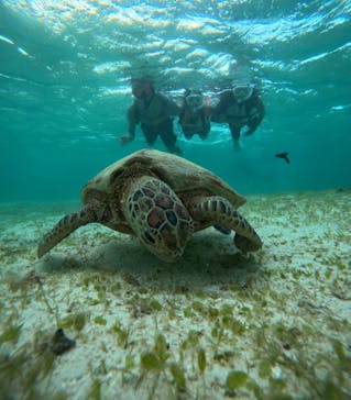 宮古島マリン SUGAR3（シュガースリー）に投稿された画像（2025/9/26）