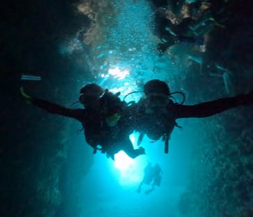 武藤潜水に投稿された画像（2025/9/26）