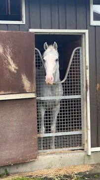 ノーザンホースパークに投稿された画像（2025/9/26）