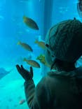 京都水族館に投稿された画像（2025/9/26）
