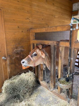 まかいの牧場に投稿された画像（2025/9/26）