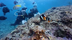 沖縄ダイビングショップシーモールに投稿された画像（2025/9/26）