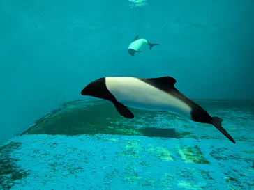仙台うみの杜水族館に投稿された画像（2025/9/26）