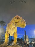 福井県立恐竜博物館に投稿された画像（2025/9/26）