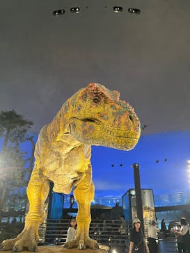 福井県立恐竜博物館に投稿された画像（2025/9/26）
