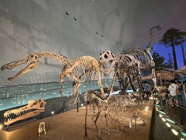 福井県立恐竜博物館に投稿された画像（2025/9/26）
