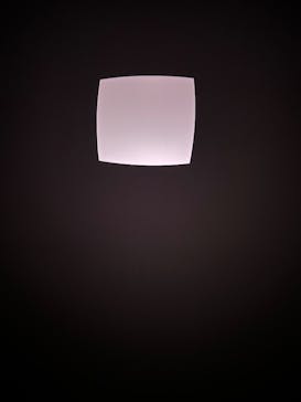 UESHIMA MUSEUMに投稿された画像（2025/9/26）