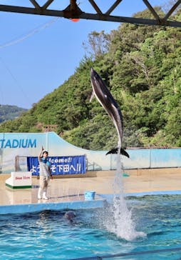 下田海中水族館に投稿された画像（2025/9/26）