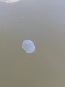 ちばみなとサップヨガに投稿された画像（2025/9/26）