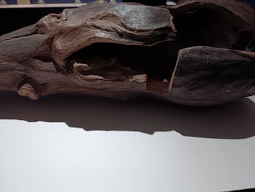 正倉院 THE SHOW ―感じる。いま、ここにある奇跡―　@上野の森美術館に投稿された画像（2025/9/26）