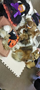 那須どうぶつ王国に投稿された画像（2025/9/26）