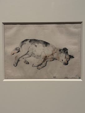 スウェーデン国立美術館　素描コレクション展―ルネサンスからバロックまでに投稿された画像（2025/9/26）