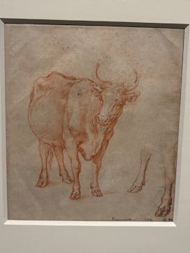 スウェーデン国立美術館　素描コレクション展―ルネサンスからバロックまでに投稿された画像（2025/9/26）