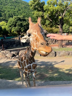 伊豆アニマルキングダムに投稿された画像（2025/9/26）