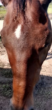 ゆり高原ホースパークに投稿された画像（2025/9/26）