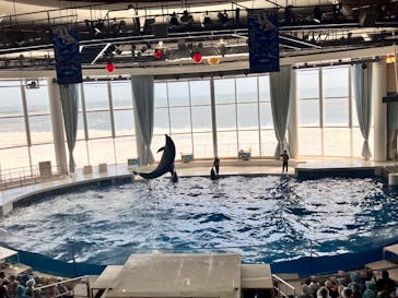アクアワールド茨城県大洗水族館に投稿された画像（2025/9/26）
