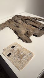 行方不明展　大阪に投稿された画像（2025/9/26）