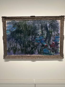 モネ 睡蓮のとき（豊田会場）に投稿された画像（2025/9/26）