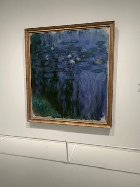 モネ 睡蓮のとき（豊田会場）に投稿された画像（2025/9/26）