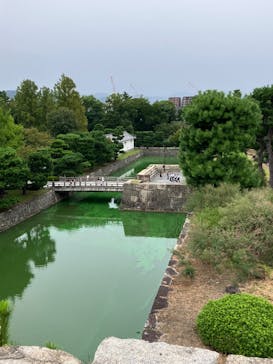 京都市観光協会（催行運営：株式会社らくたび）に投稿された画像（2025/9/26）