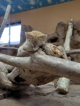 那須どうぶつ王国に投稿された画像（2025/9/26）