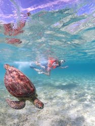 SUNSHINE MARIN 宮古島に投稿された画像（2025/9/26）