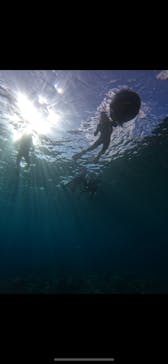 武藤潜水に投稿された画像（2025/9/27）