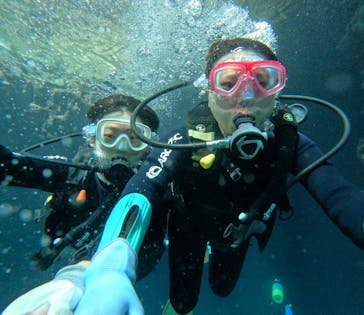 武藤潜水に投稿された画像（2025/9/27）